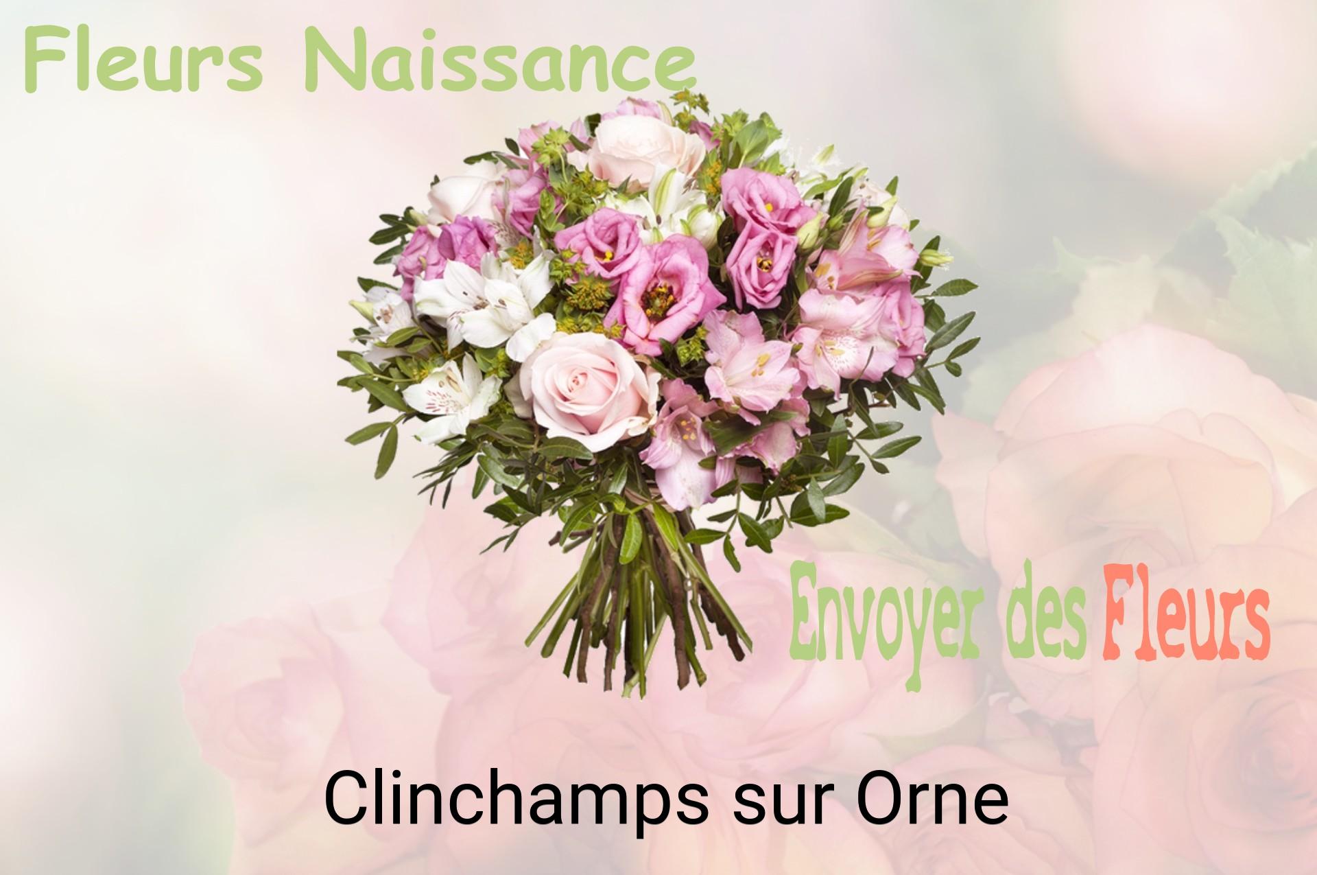 Bouquet de fleurs de naissance livré à Clinchamps-sur-Orne